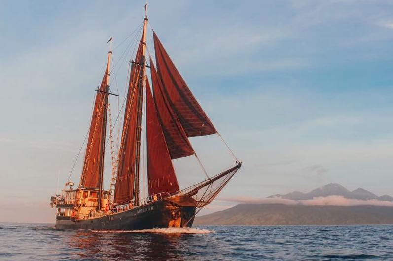 Latest travel itineraries for Western Union Schooner in December (updated  in 2023), Western Union Schooner reviews, Western Union Schooner address  and opening hours, popular attractions, hotels, and restaurants near Western  Union Schooner 